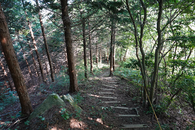 鳥取県西伯郡大山町坊領　林道の入り口　佐摩山の七号目