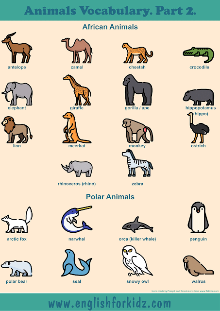 African animals vocabulary and polar animals vocabulary to learn English – printable ESL worksheets