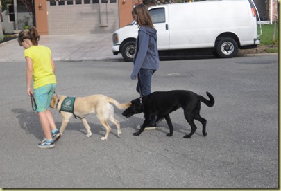 Sara is walking Reyna and Emily is walking Starling in my neighborhood on the way to the canal trail.  Both dogs are nicely walking on leash.