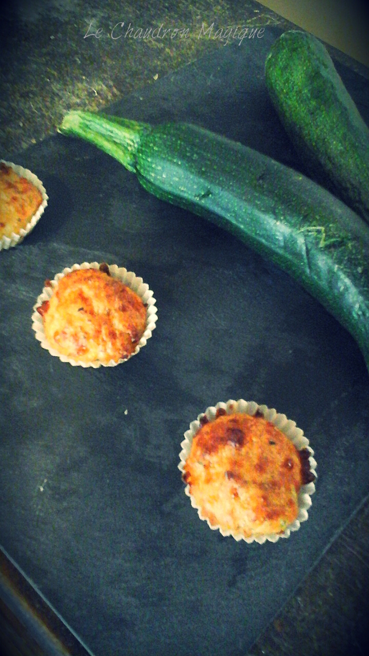 le chaudron magique monsieur cuisine mini muffins