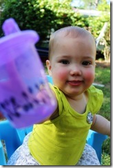IMG_1668 copy