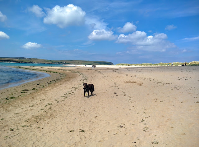 Cornwall Part 2, Passionately Sam, Rock Beach