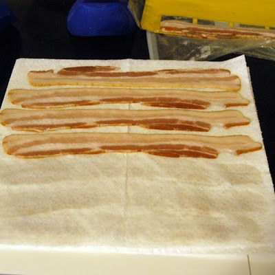 Bacon Strip Lamp shade