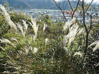 赤穂市にある雄鷹台山からの眺望　その5