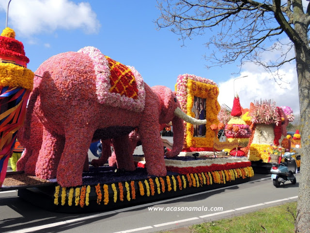 Keukenhof, o jardim mais bonito do mundo