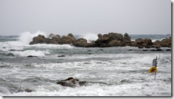 sturm_06_081109