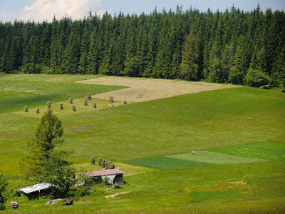 Campos de cultivo en Butorowy Wierch, Zakopane