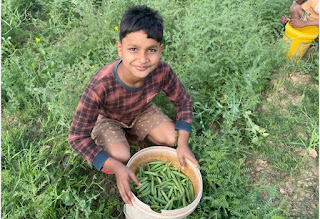 Life in an Indian Village: ऐसा है गाँव का जीवन