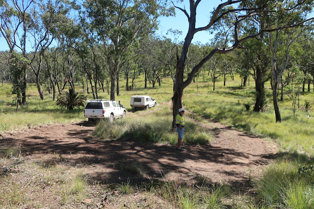 Cars parked in the bush