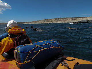 kayaking in patagonia crossing from the andes to the atlantic