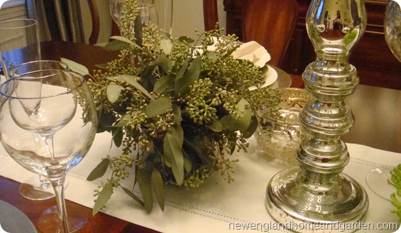 Blog photos 001