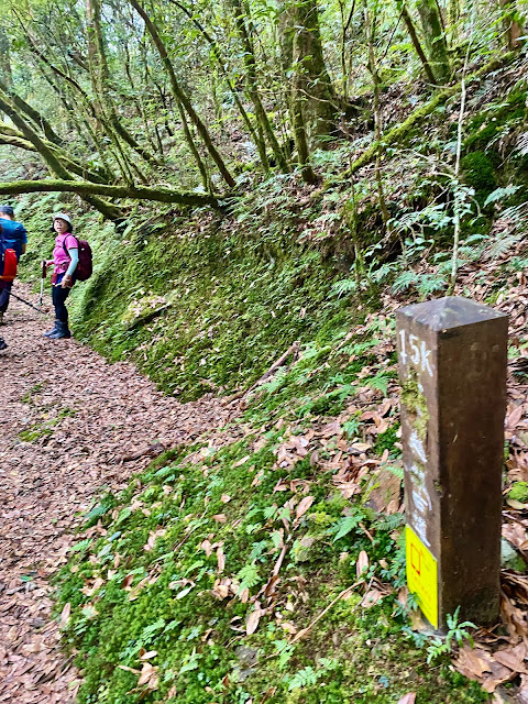 巴福越嶺古道--15K