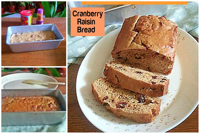Cranberry Raisin Bread Recipe @ treatntrick.blogspot.com