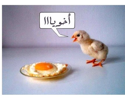 الله يرحمك يا خويا .........هياكلوك