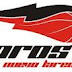 Toros de Nuevo Laredo eliminan a los Halcones de Xalapa