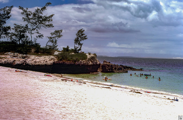 Final da década de 1960 na ilha de Moçambique  MMG_O_093 📷 by Manuel Augusto Martins Gomes @manuelamartinsgomesmemorias   Recovered by (a)Zé Gomes @zebmgomes 🔗https://beacons.ai/manuelamartinsgomesmemorias  ©️ All rights reserved  If shared please add the above information