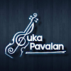 Violin Suka Pavalan