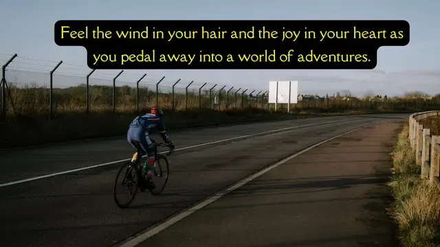 World Bicycle Day quotes, Bicycle Day quotes,
