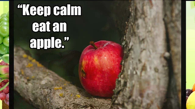 Quotes on Apple