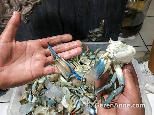 Silifke'de mavi yengeç restoranlarda yenilebilir, Taşucu Mersin