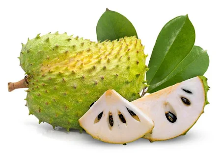 How to Use Soursop to Cure Cancer