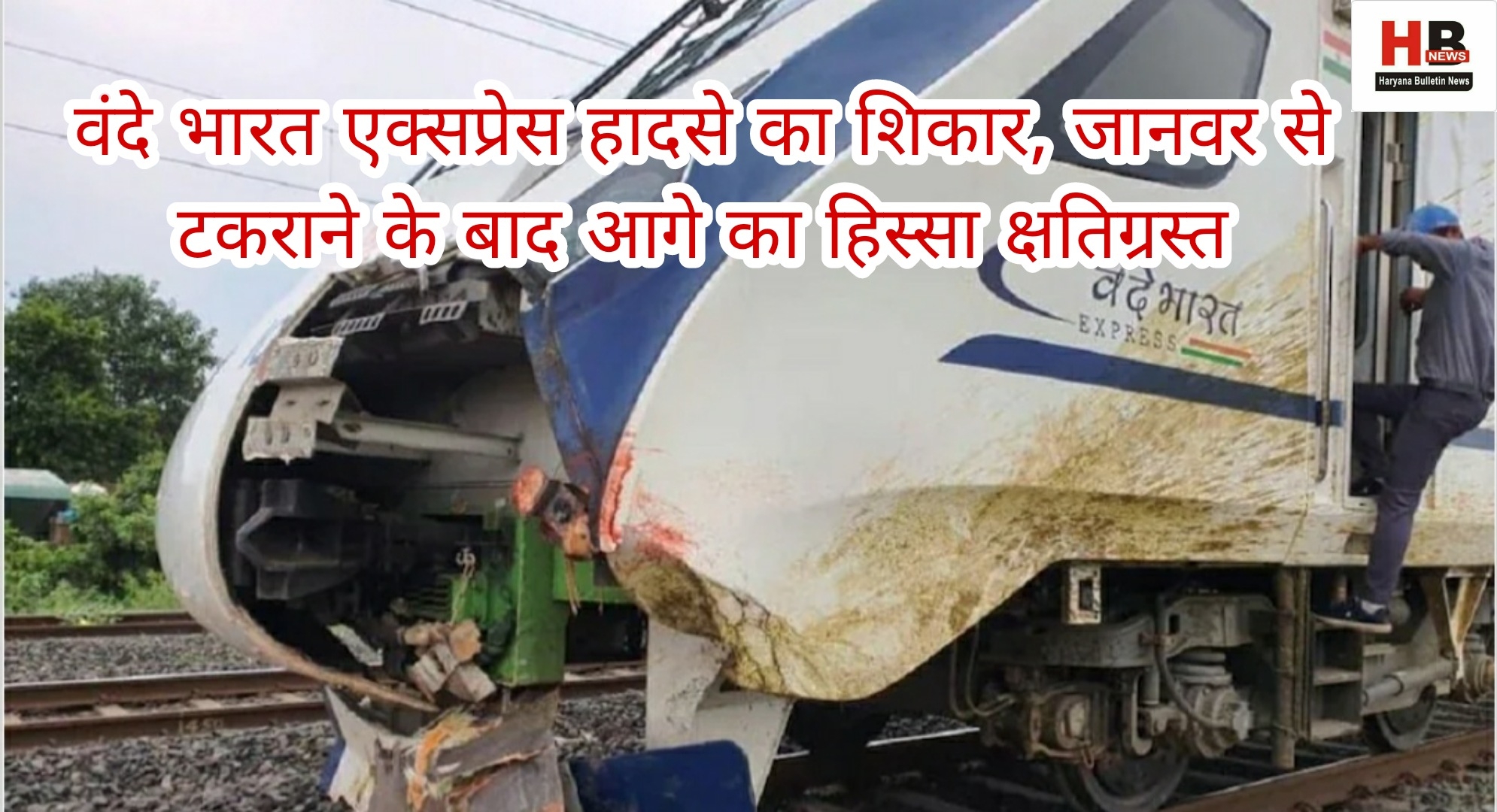 Victim of Vande Bharat Express accident, front part damaged after hitting animal