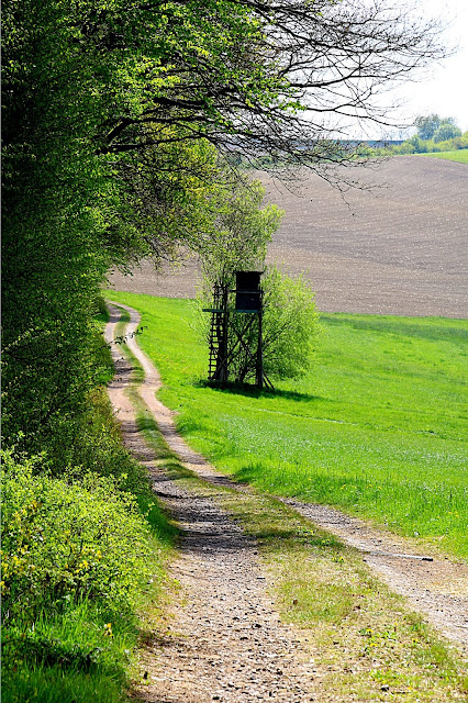 Pertschfoto