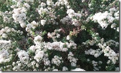 20160405_072340