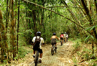 Bali countryside cycling tour - through the middle of bamboo forest.jpg