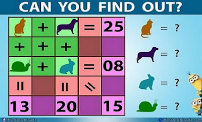 Find the value of Cat, Dog, Rabbit and Snail