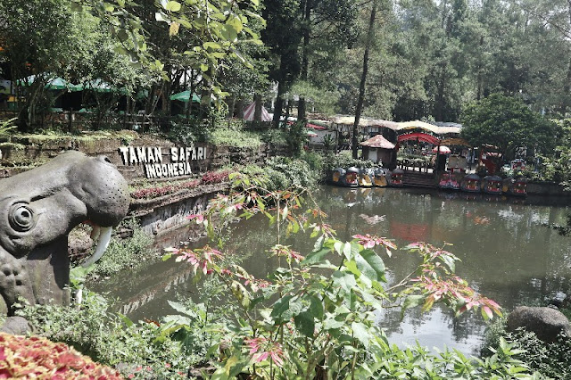 Wisuda TK dan Jalan-Jalan ke Taman Safari Bogor