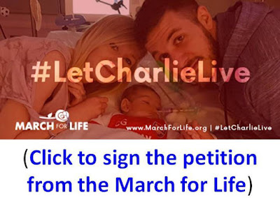 https://www.votervoice.net/UserSite/MarchforLife/Petitions/1135/Respond