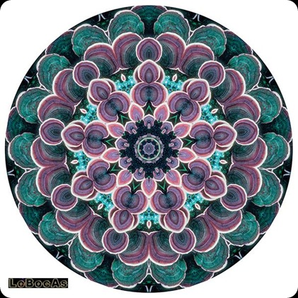 mandalas_LoBocAs-junio0611