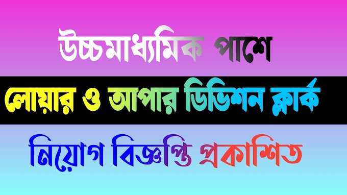 রাজ্যে লোয়ার ও আপার ডিভিশন ক্লার্ক পদে নিয়োগ। Lower Division Clerk & Upper Division Clerk Requirements 2024