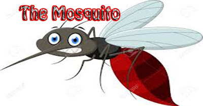 the best cover mosquito 