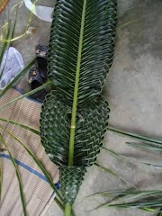 Top Konsep Barang Kerajinan Yang Dapat Dibuat Dari Daun Kelapa Adalah, Kerajinan Daun