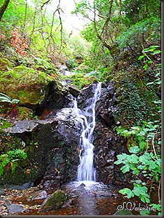 SAM_1833 SAM_1833