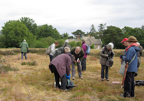 The group starting to spread out on Keston Common, 28 May 2011.