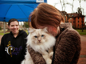 Foto Teddy si kucing terapi di Pacific Lutheran University 03