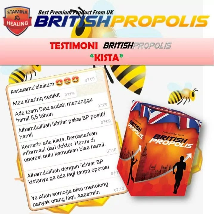 khasiat british propolis untuk promil