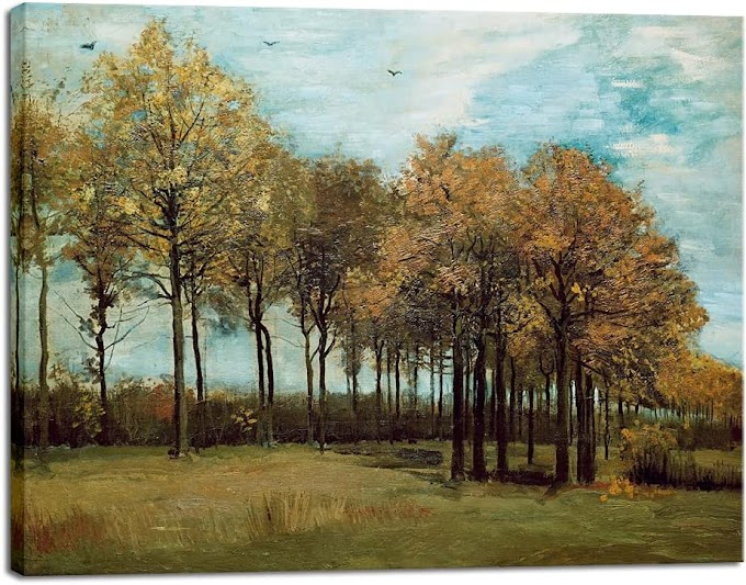 Tree Forest Pictures Artwork 