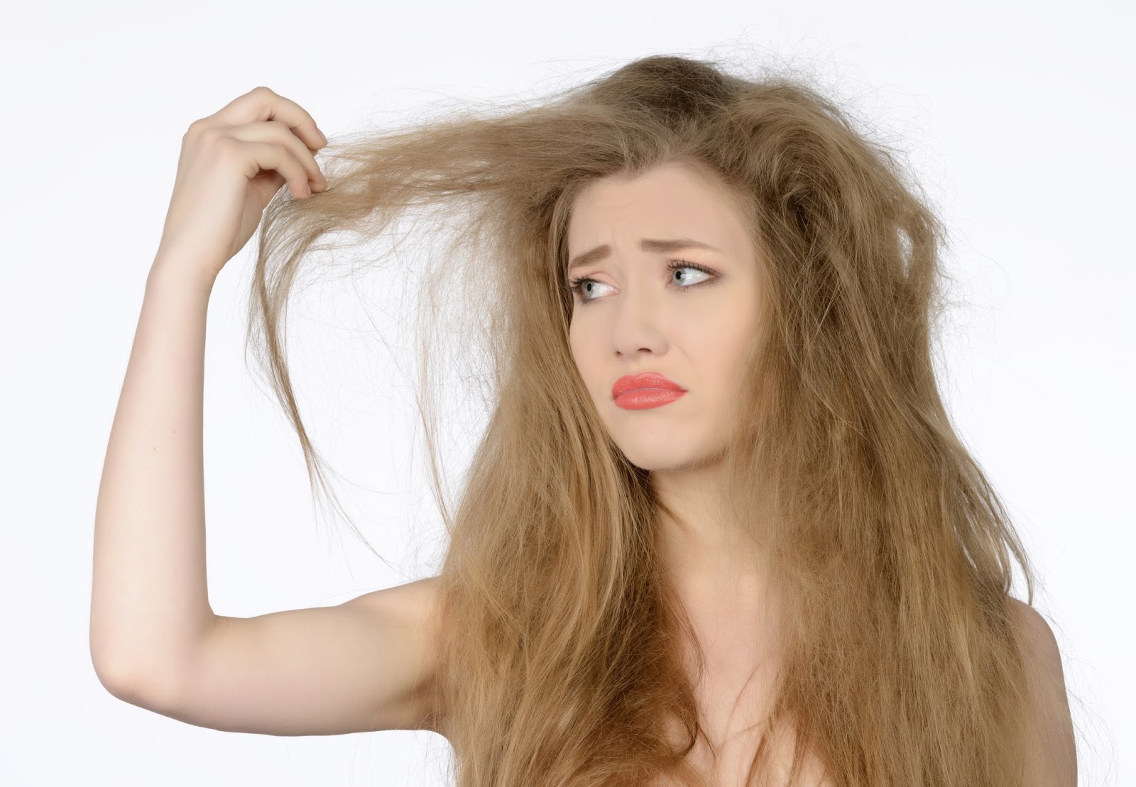 Cara Ampuh Mengatasi Rambut Kering Secara Alami Ini Blog Sehat