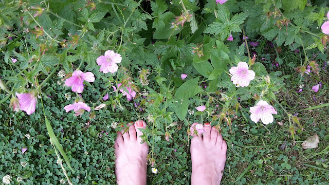 Project 365 2015 day 169 - Barefoot and flowers // 76sunflowers