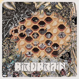 Zuffalo "Birdbrain" 2021 Canada Psych Rock,Funk Rock