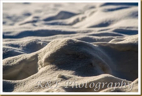 February 2014 (3 of 11)-2