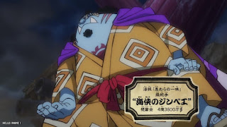 ワンピース アニメ チョッパーのもっと知りてェぞコノヤロー ジンベエ 1095話 ONE PIECE Episode 1095 JINBE