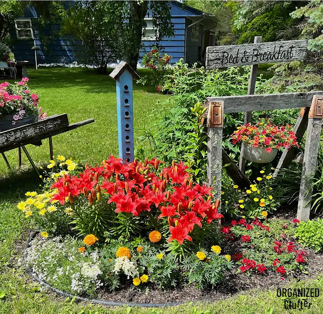 Photos of annuals, perennials, & junk in my front yard border.