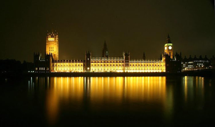 Gorgeous Golden Colour Beautiful Photos