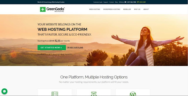 GreenGeeks-homepage