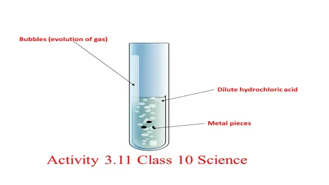 NCERT Activity 3.11 Class 10 Science Explanation